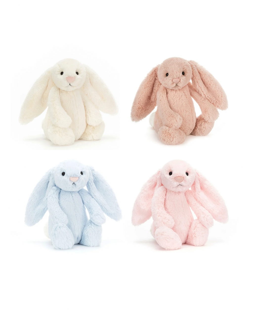 BASHFUL BUNNY